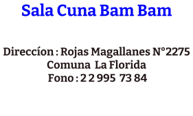 Sala Cuna Bam Bam  Direccíon : Rojas Magallanes N°2275 Comuna  La Florida  Fono : 2 2 995  73 84